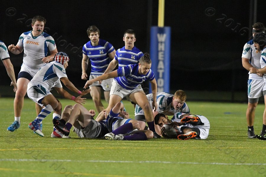 Wheaton College Men\'s Rugby vs Salve Regina. - Photo By: KEITH NORDSTROM